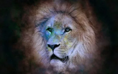 Les traits caractérisant le signe du Lion
